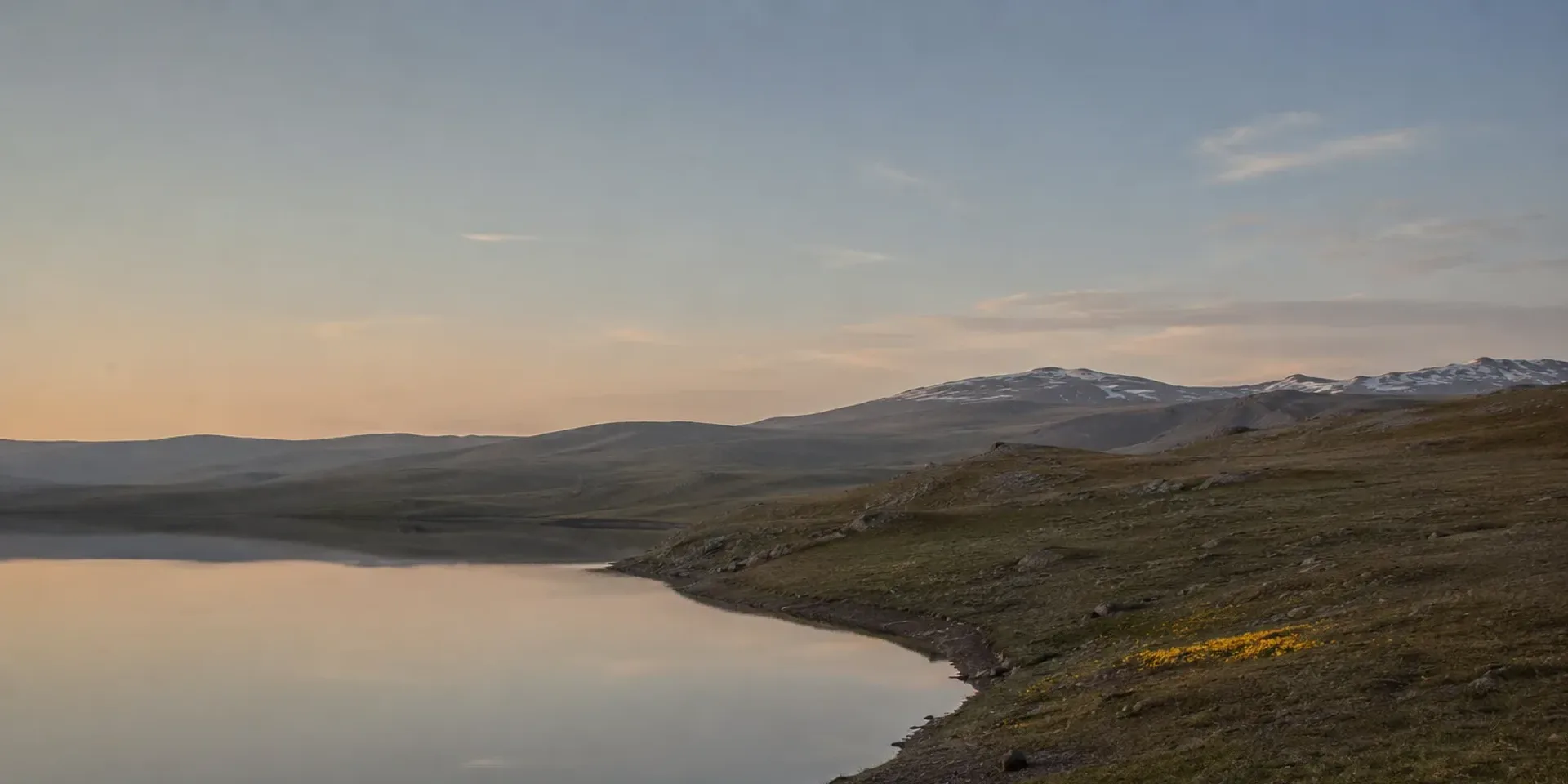 The Deosai plateau in summer, wildflower grassland rolling to a distant snow line with Sheosar Lake below.