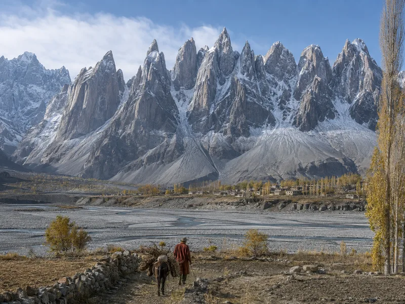 A farmer leading a laden donkey along a field boundary below the rock spires of Tupopdan, the Passu Cones.
