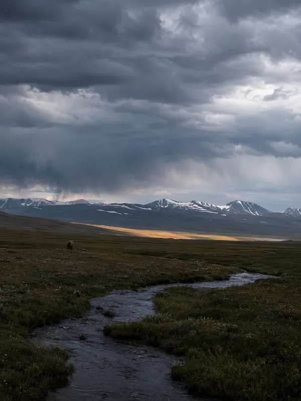 The treeless Deosai plateau under an enormous evening sky, a stream curling through wildflower grassland.
