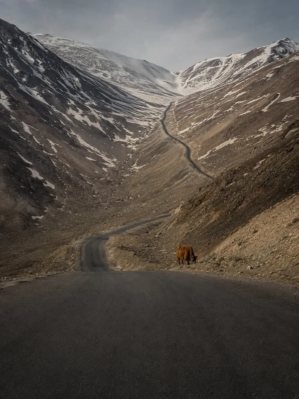 The Karakoram Highway climbing steeply towards the Khunjerab saddle between bare slopes streaked with old snow.